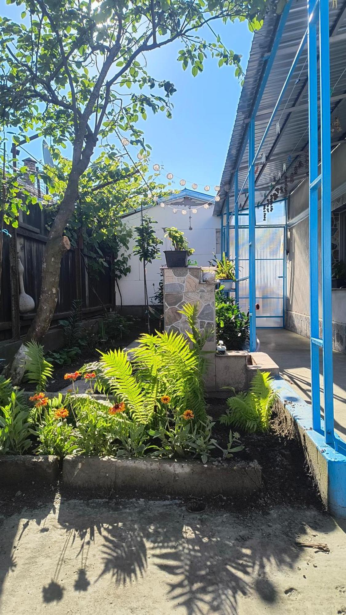 Stuffstock Hostel Sulina Bagian luar foto